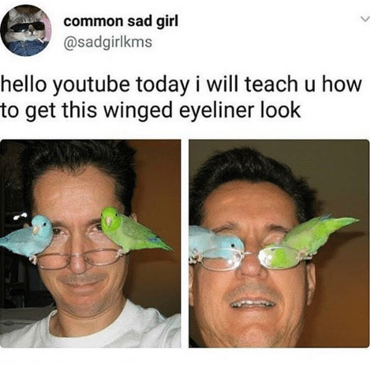 winged eyeliner with birds - common sad girl hello youtube today i will teach u how to get this winged eyeliner look