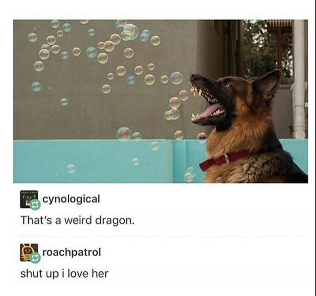 dog bubbles - 'n cynological That's a weird dragon. roachpatrol shut up i love her