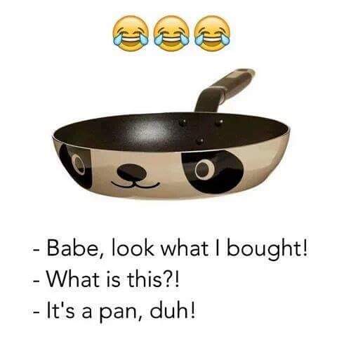 puns that make you laugh - Babe, look what I bought! What is this?! It's a pan, duh!