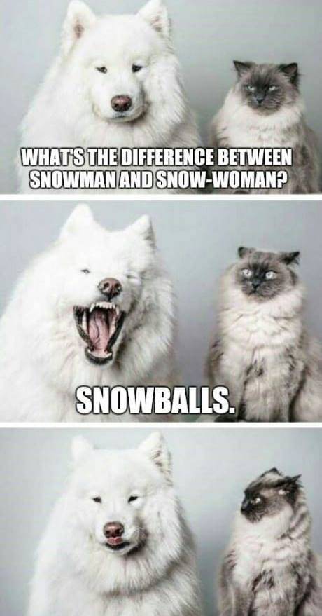 snowballs meme - What'S The Difference Between Snowman And SnowWoman? Snowballs.