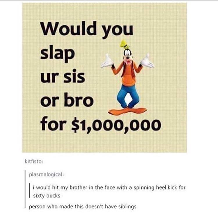 would you slap your sibling for a million dollars meme - Would you slap ur sis or bro for $1,000,000 kitfisto plasmalogical i would hit my brother in the face with a spinning heel kick for sixty bucks I person who made this doesn't have siblings