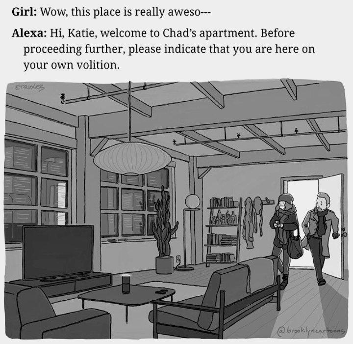 alexa and katie memes - Girl Wow, this place is really aweso Alexa Hi, Katie, welcome to Chad's apartment. Before proceeding further, please indicate that you are here on your own volition. broeklyncarton
