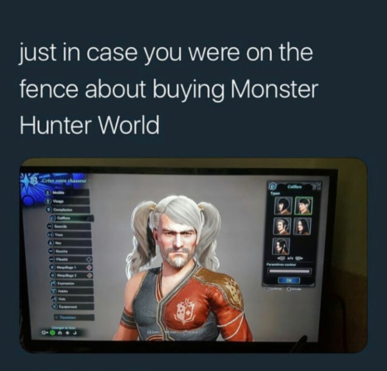 mhw funny character - just in case you were on the fence about buying Monster Hunter World Crer une chansowe O Cum ele Ooo