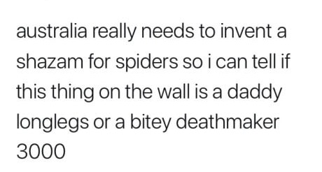 believe in long distance love quotes - australia really needs to invent a shazam for spiders so i can tell if this thing on the wall is a daddy longlegs or a bitey deathmaker 3000