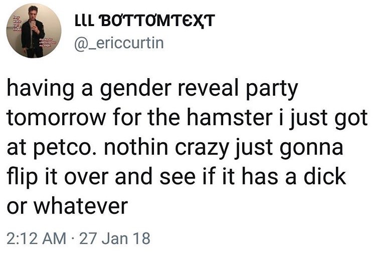 trust no one quotes - Lil Bottomtext having a gender reveal party tomorrow for the hamster i just got at petco. nothin crazy just gonna flip it over and see if it has a dick or whatever 27 Jan 18