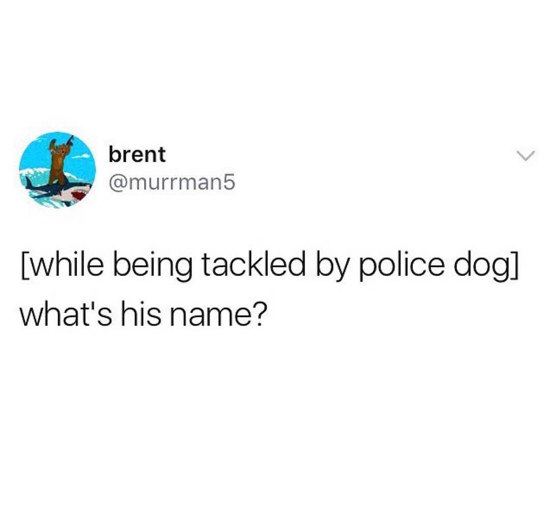 Internet meme - brent while being tackled by police dog what's his name?