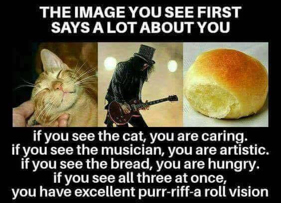 purr riff a roll - The Image You See First Says A Lot About You if you see the cat, you are caring. if you see the musician, you are artistic. if you see the bread, you are hungry. if you see all three at once, you have excellent purrriffa roll vision