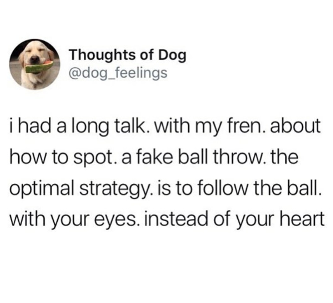Thoughts of Dog i had a long talk. with my fren. about how to spot. a fake ball throw. the optimal strategy. is to the ball. with your eyes. instead of your heart