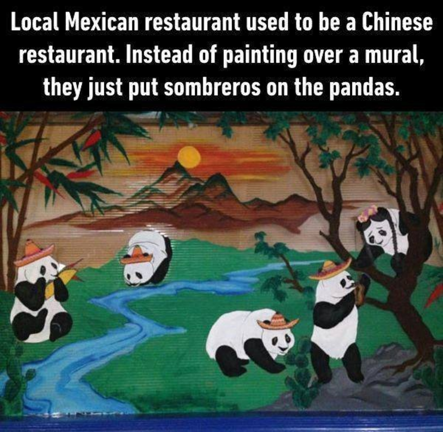 pandas with sombreros - Local Mexican restaurant used to be a Chinese restaurant. Instead of painting over a mural, they just put sombreros on the pandas.