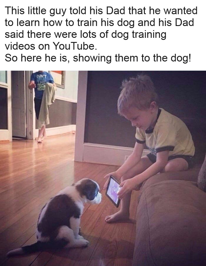 dog training video meme - This little guy told his Dad that he wanted to learn how to train his dog and his Dad said there were lots of dog training videos on YouTube. So here he is, showing them to the dog!