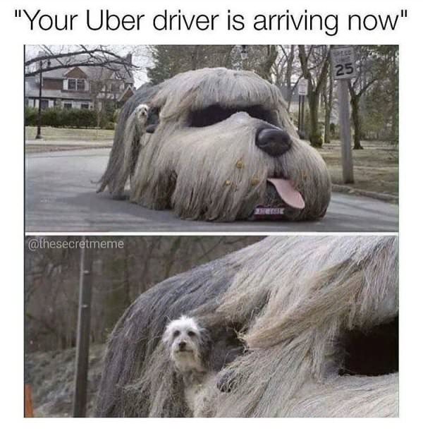 your uber is arriving now meme - "Your Uber driver is arriving now" 25