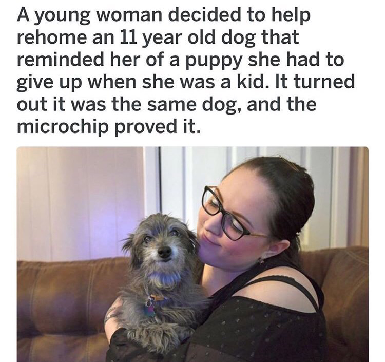 marshfield clinic - A young woman decided to help rehome an 11 year old dog that reminded her of a puppy she had to give up when she was a kid. It turned out it was the same dog, and the microchip proved it.