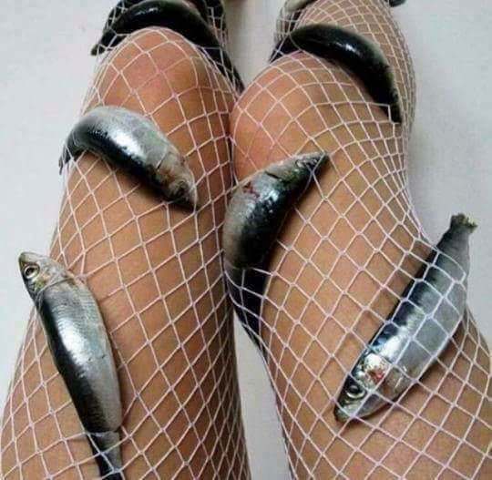 fish in fishnets -