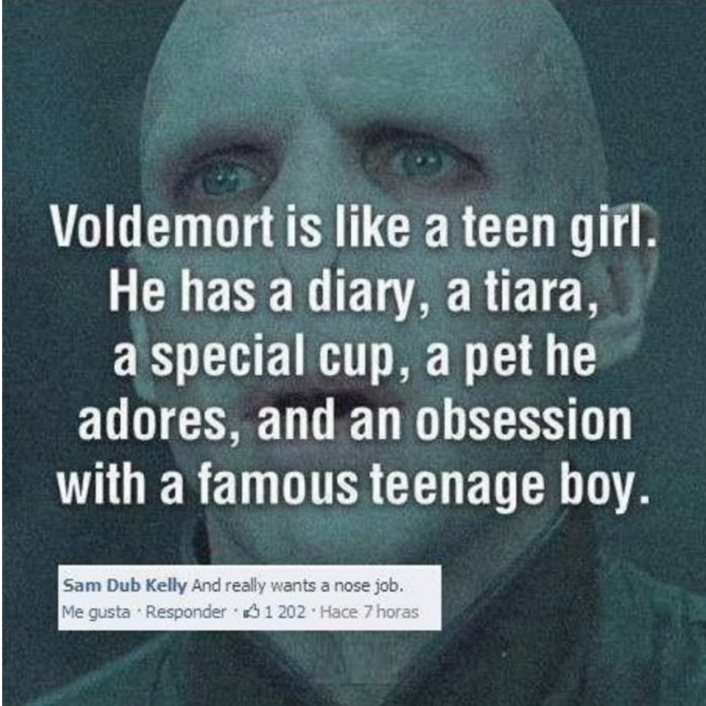 Lord Voldemort - Voldemort is a teen girl. He has a diary, a tiara, a special cup, a pet he adores, and an obsession with a famous teenage boy. Sam Dub Kelly And really wants a nose job. Me gusta Responder $1 202 . Hace 7 horas