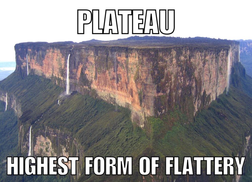 Plateau Highest Form Of Flattery