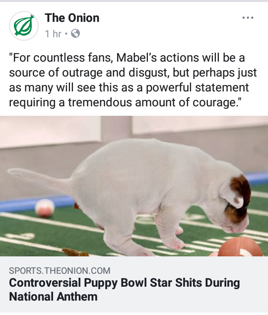 photo caption - The Onion 1 hr. "For countless fans, Mabel's actions will be a source of outrage and disgust, but perhaps just as many will see this as a powerful statement requiring a tremendous amount of courage." Sports.Theonion.Com Controversial Puppy