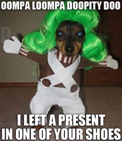 oompa loompa dog meme - Oompa Loompa Doopity Doo I Left A Present In One Of Your Shoes