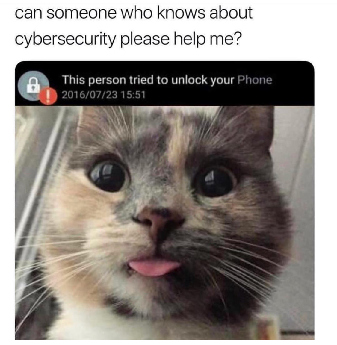 funny animal memes - can someone who knows about cybersecurity please help me? This person tried to unlock your Phone