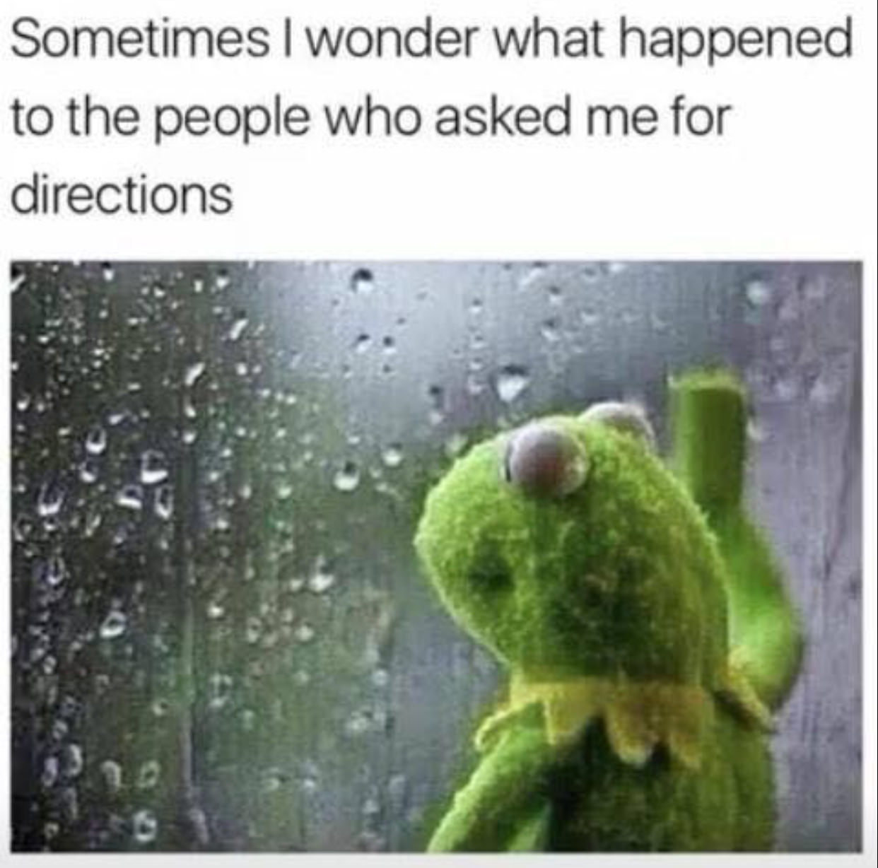 sometimes i wonder meme - Sometimes I wonder what happened to the people who asked me for directions