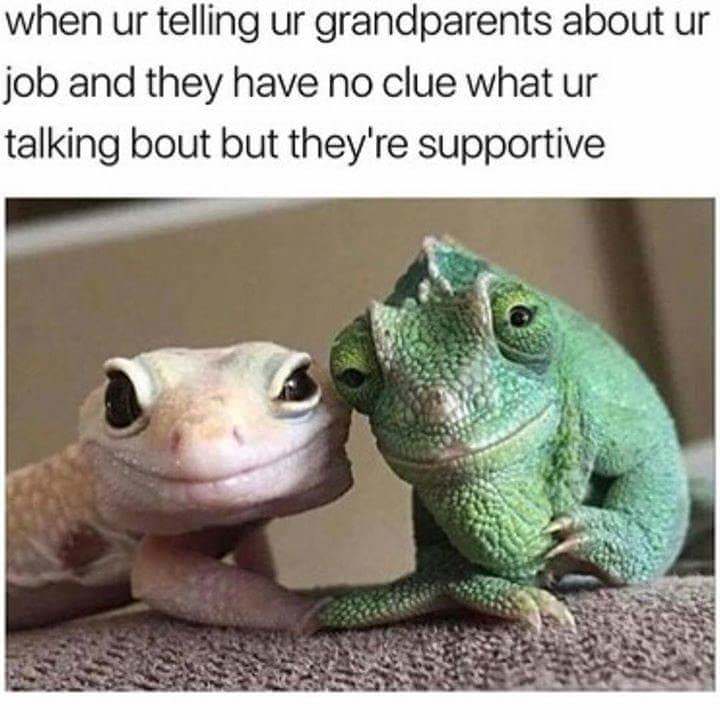 your grandparents meme - when ur telling ur grandparents about ur job and they have no clue what ur talking bout but they're supportive