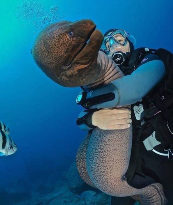 scuba diving memes
