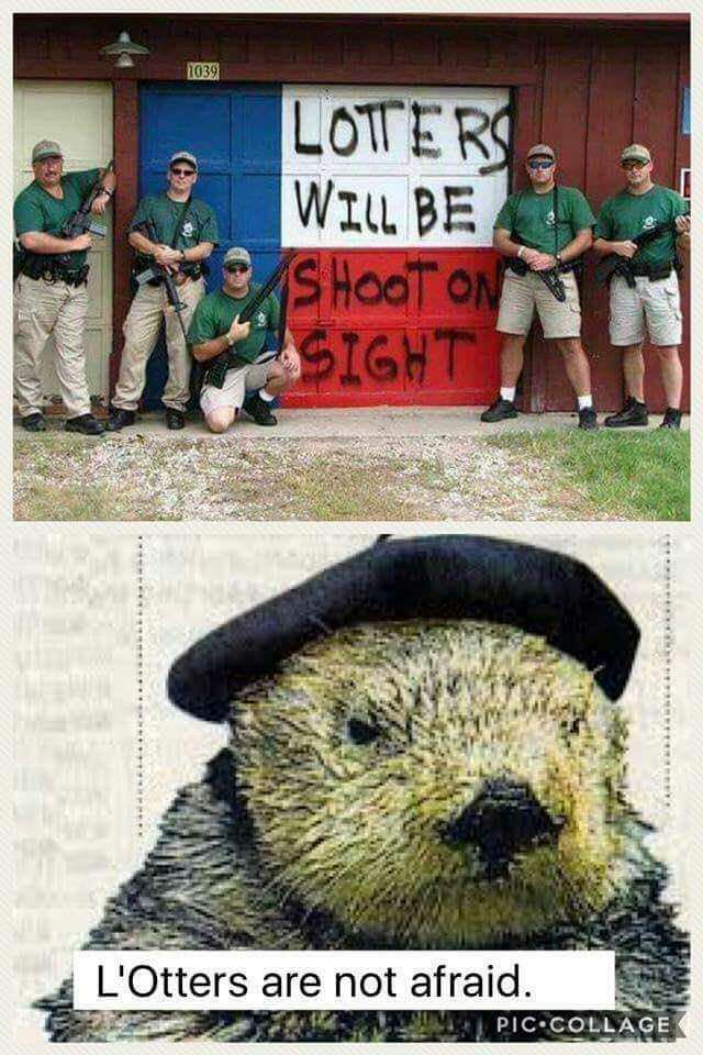 lotters will be shot - 1039 Lotters Will Be Shoot On Asight L'Otters are not afraid. K Umpic Collage