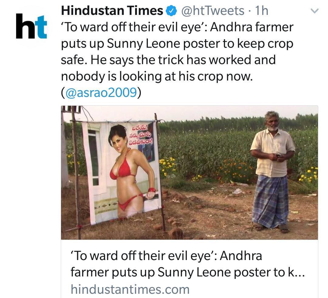 grass - Hindustan Times 1h 'To ward off their evil eye' Andhra farmer puts up Sunny Leone poster to keep crop safe. He says the trick has worked and nobody is looking at his crop now. Un ! 'To ward off their evil eye Andhra farmer puts up Sunny Leone post