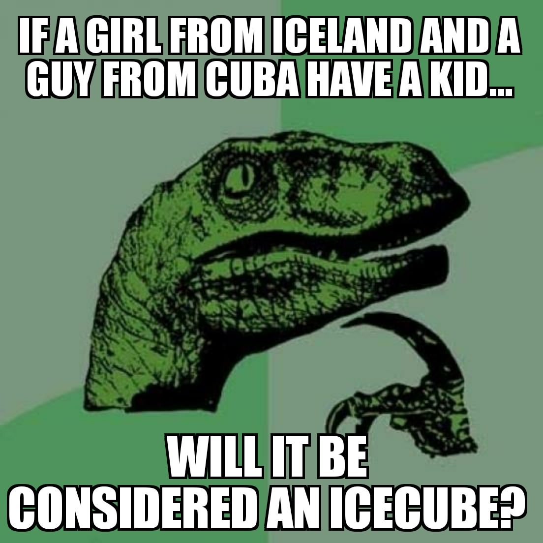 meme or me me - Ifa Girl From Iceland And A Guy From Cuba Have A Kid... Willit Be Considered An Icecube?