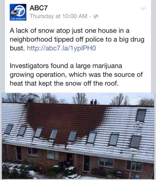 weed house snow - abc Los Angeles ABC7 Thursday at A lack of snow atop just one house in a neighborhood tipped off police to a big drug bust. Investigators found a large marijuana growing operation, which was the source of heat that kept the snow off the 