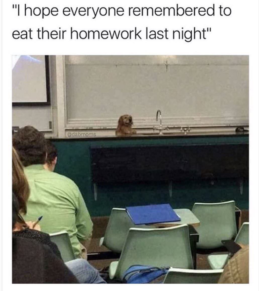 good boy - "I hope everyone remembered to eat their homework last night"