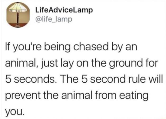 machine learning algorithm yes - Life AdviceLamp If you're being chased by an animal, just lay on the ground for 5 seconds. The 5 second rule will prevent the animal from eating you.