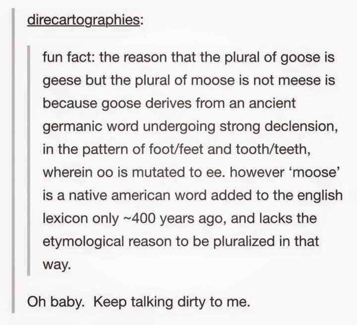 document - direcartographies fun fact the reason that the plural of goose is geese but the plural of moose is not meese is because goose derives from an ancient germanic word undergoing strong declension, in the pattern of footfeet and toothteeth, wherein