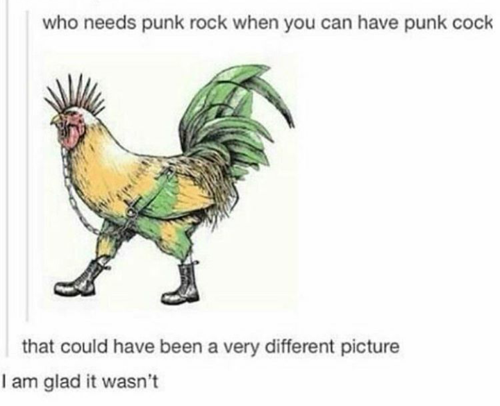 punk chicken - who needs punk rock when you can have punk cock that could have been a very different picture I am glad it wasn't