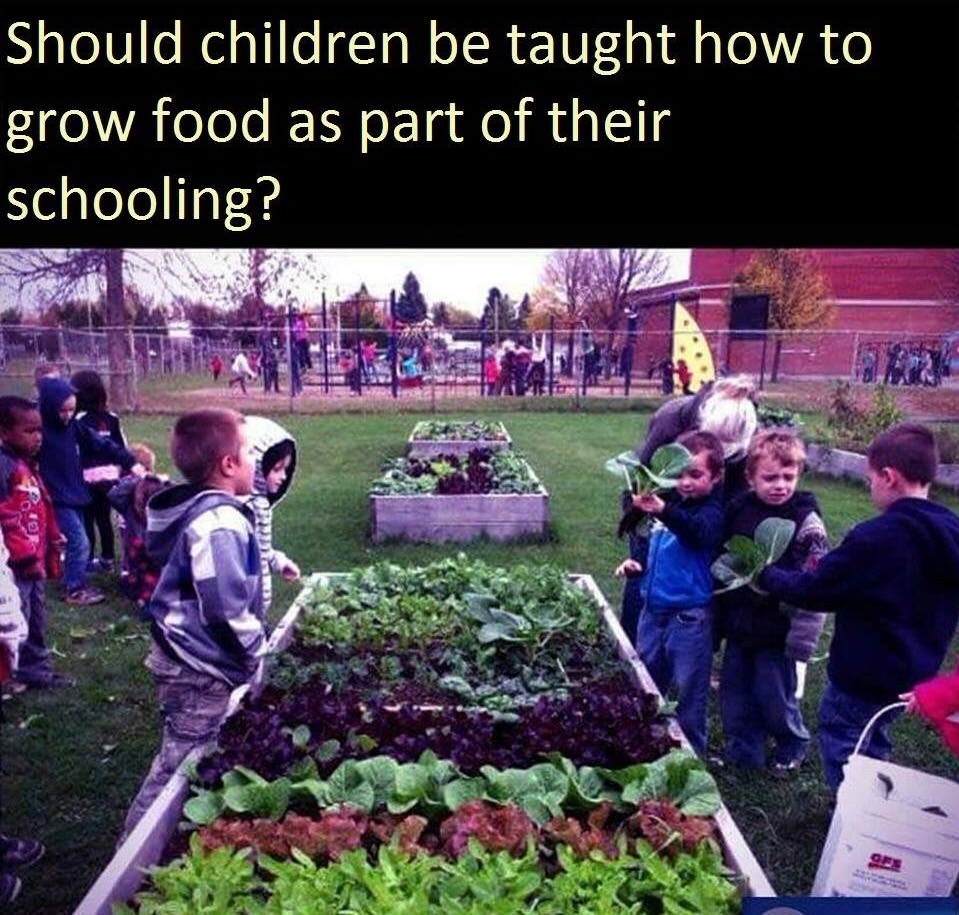 should children be teach how to grow food as part of their schooling - Should children be taught how to grow food as part of their schooling?