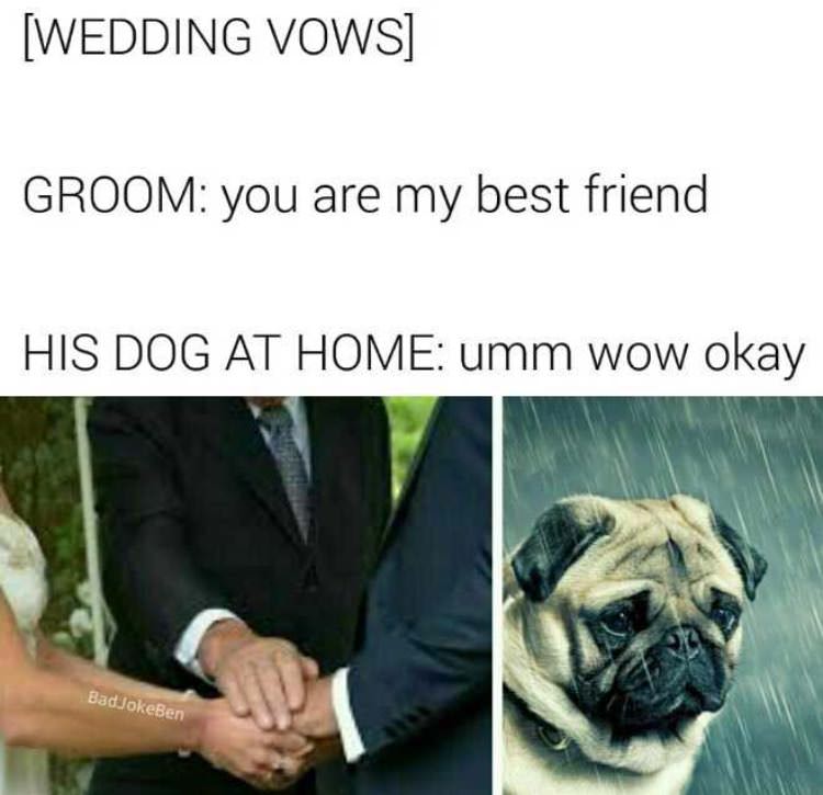 wedding vows dank memes - Wedding Vows Groom you are my best friend His Dog At Home umm wow okay Bad Jokeen
