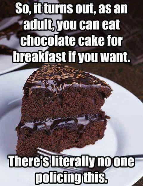 cake for breakfast meme - So, it turns out, as an adult, you can eat chocolate cake for breakfast if you want. There's literally no one policing this.
