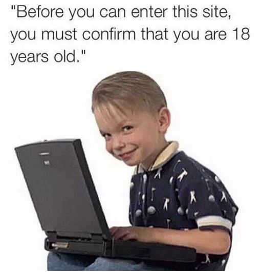 kid on a computer - "Before you can enter this site, you must confirm that you are 18 years old."