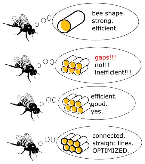 bee efficient - 000 bee shape. strong. efficient. gaps!!! no!!! inefficient!!! efficient. good. yes. connected. straight lines. Optimized.