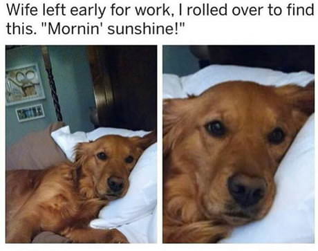 32 Great Pics And Memes to Improve Your Mood