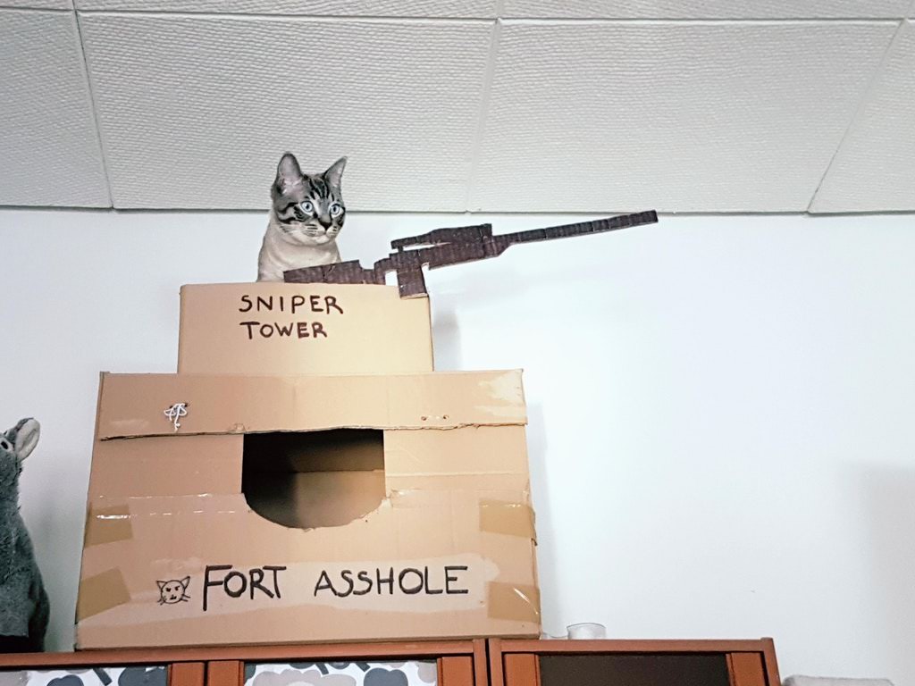 cat fort asshole - Sniper Tower Fort Asshole