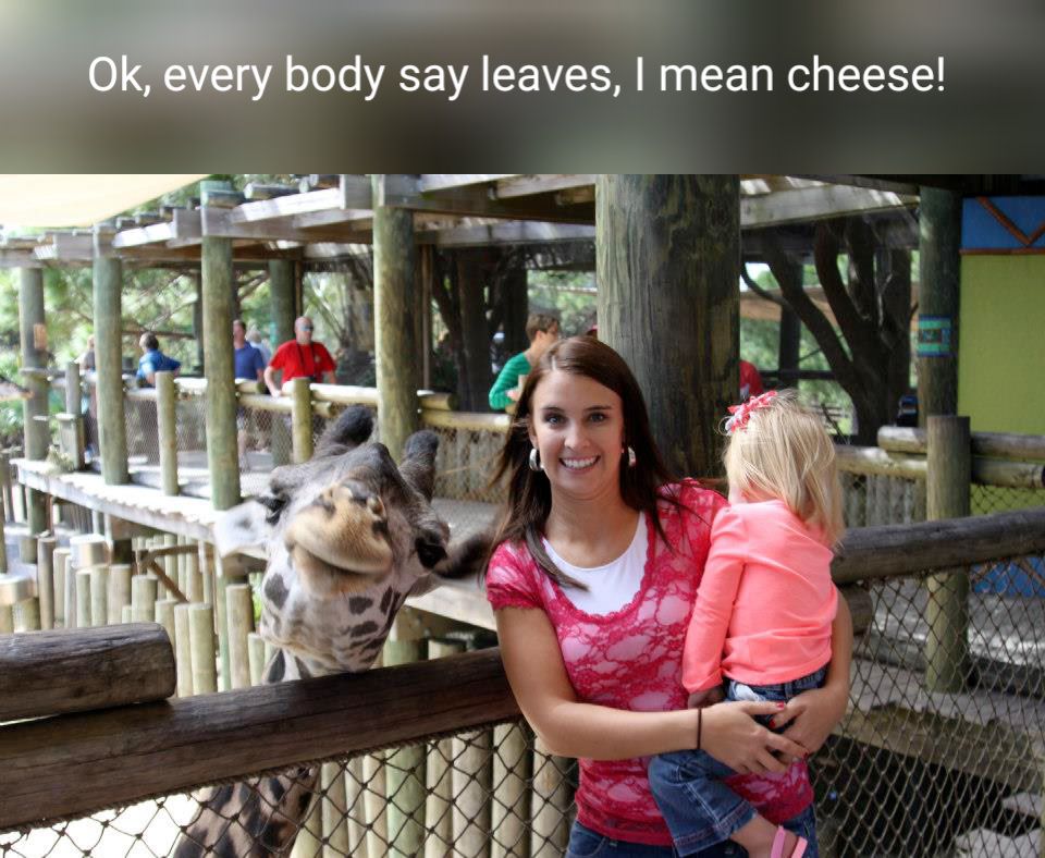 funny photobomb - Ok, every body say leaves, I mean cheese!