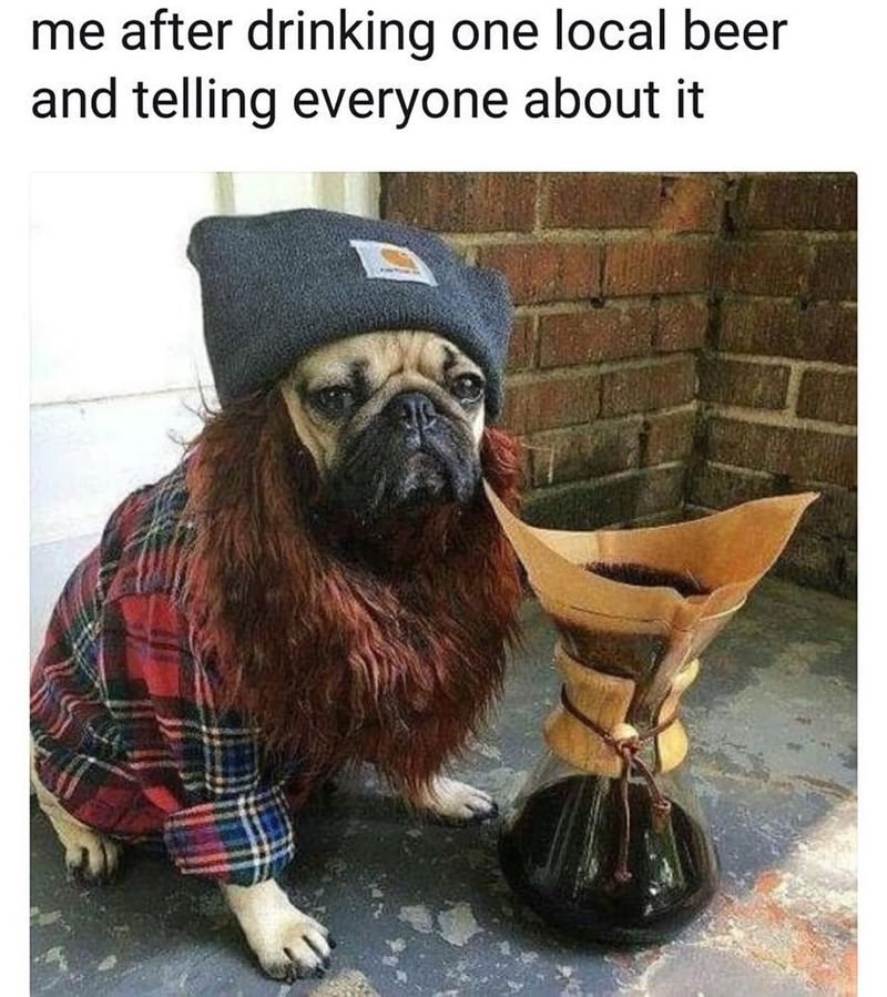 doug the pug coffee - me after drinking one local beer and telling everyone about it