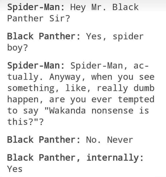 alexander hamilton slide - SpiderMan Hey Mr. Black Panther Sir? Black Panther Yes, spider boy? SpiderMan SpiderMan, ac tually. Anyway, when you see something, , really dumb happen, are you ever tempted to say "Wakanda nonsense is this?"? Black Panther No.
