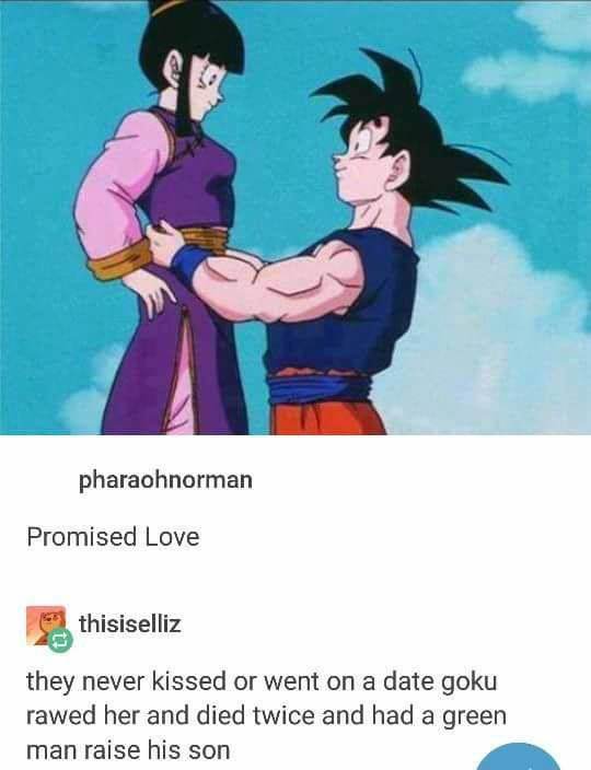 pharaohnorman Promised Love thisiselliz they never kissed or went on a date goku rawed her and died twice and had a green man raise his son