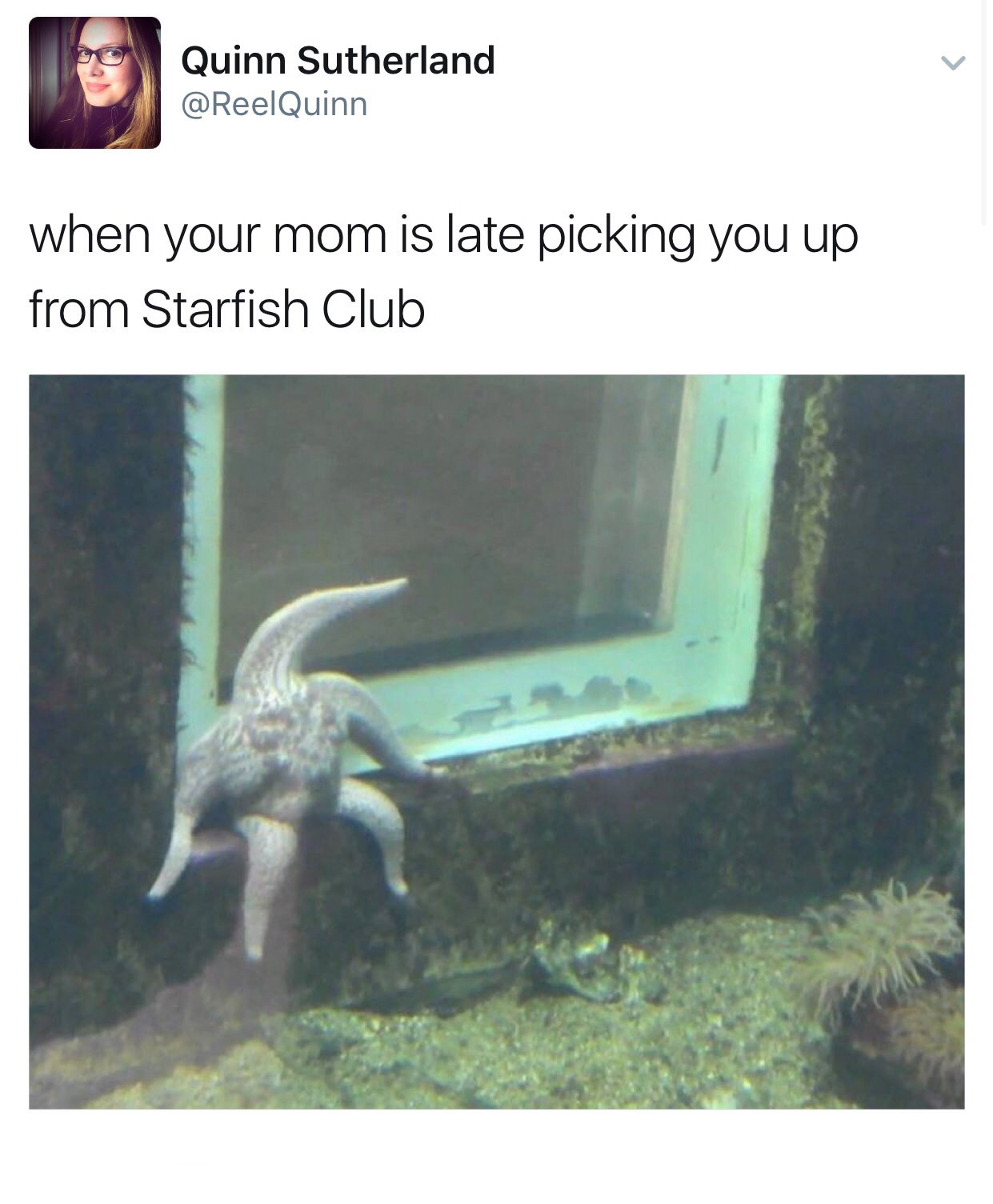 starfish meme - Quinn Sutherland when your mom is late picking you up from Starfish Club