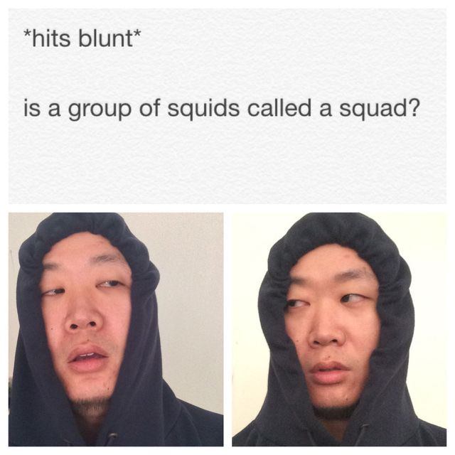 stoner hits blunt - hits blunt is a group of squids called a squad?