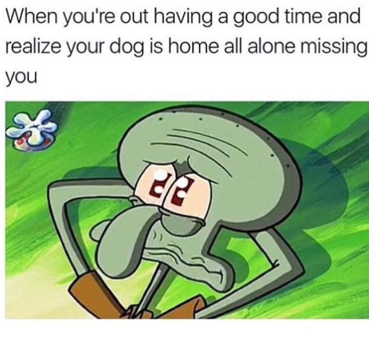 you re out having a good time meme - When you're out having a good time and realize your dog is home all alone missing you