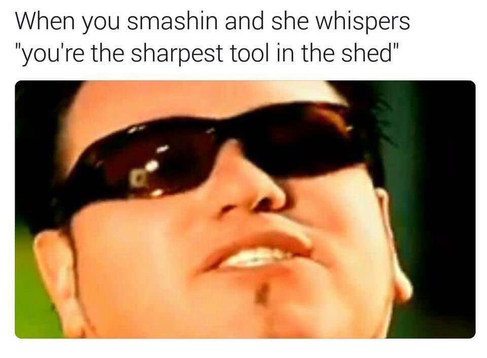spicy meme - When you smashin and she whispers "you're the sharpest tool in the shed"