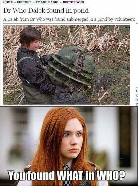 doctor who memes - Home Culture Tv And Radio Doctor Who Dr Who Dalek found in pond A Dalek from Dr Who was found submerged in a pond by volunteers You found What in Who?