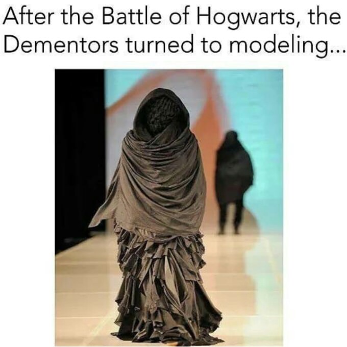 dementors turned to modeling - After the Battle of Hogwarts, the Dementors turned to modeling...